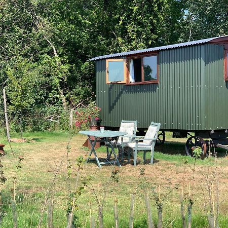 Bed and Breakfast Sindles Farm Emsworth Exteriér fotografie