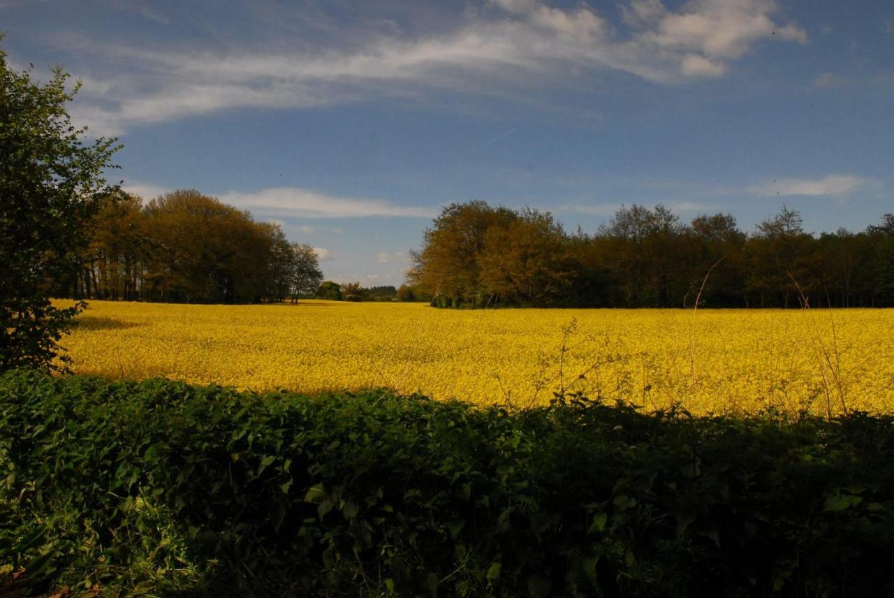 Bed and Breakfast Sindles Farm Emsworth Exteriér fotografie